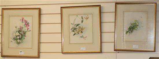 20th century English School, three watercolours, floral studies